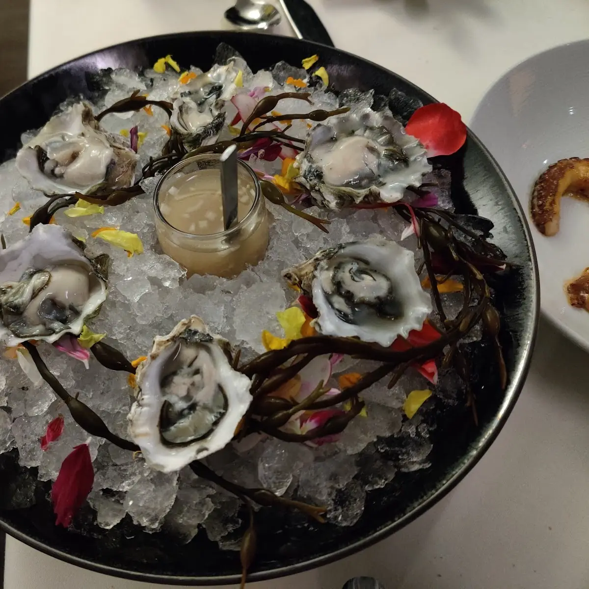 Oysters on the Half Shell