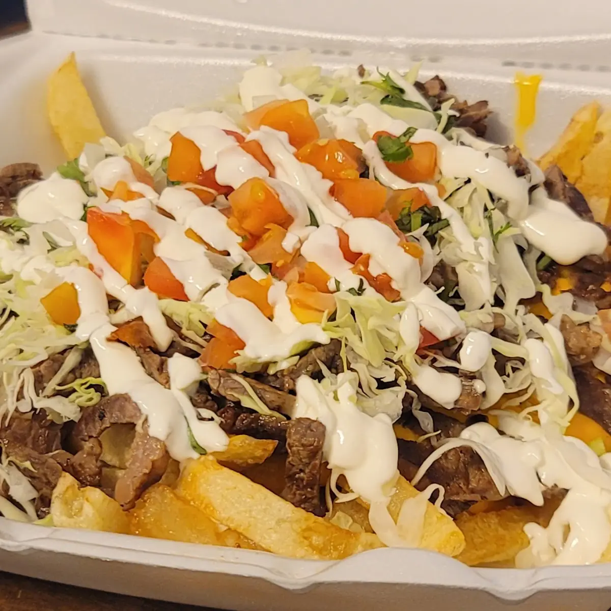 Carne Asada Fries