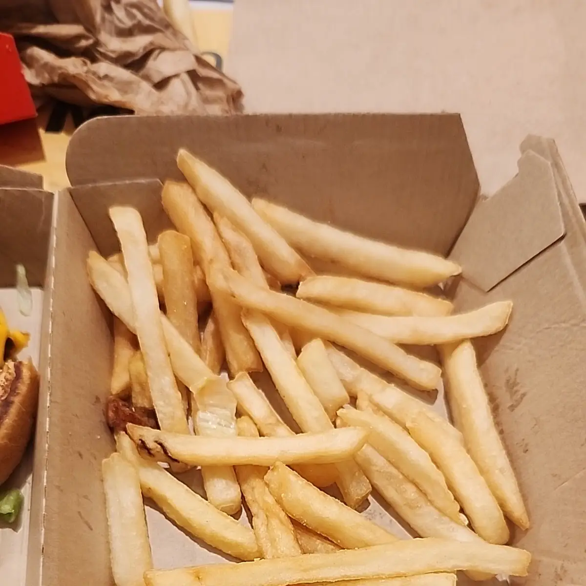 World Famous Fries