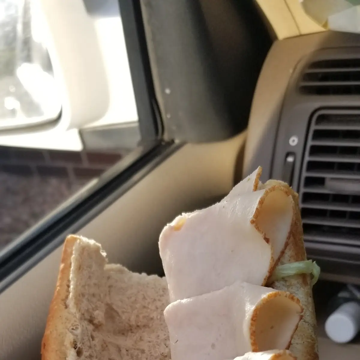 Turkey & Bacon on Wheat