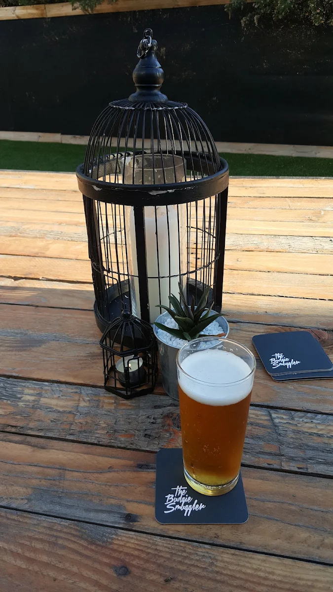 Highlights, The Budgie Bar