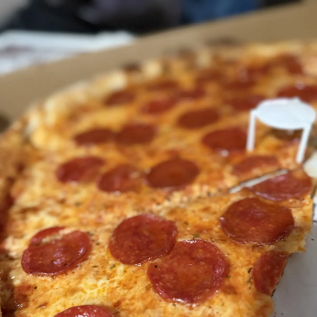 Half Pepperoni Pizza