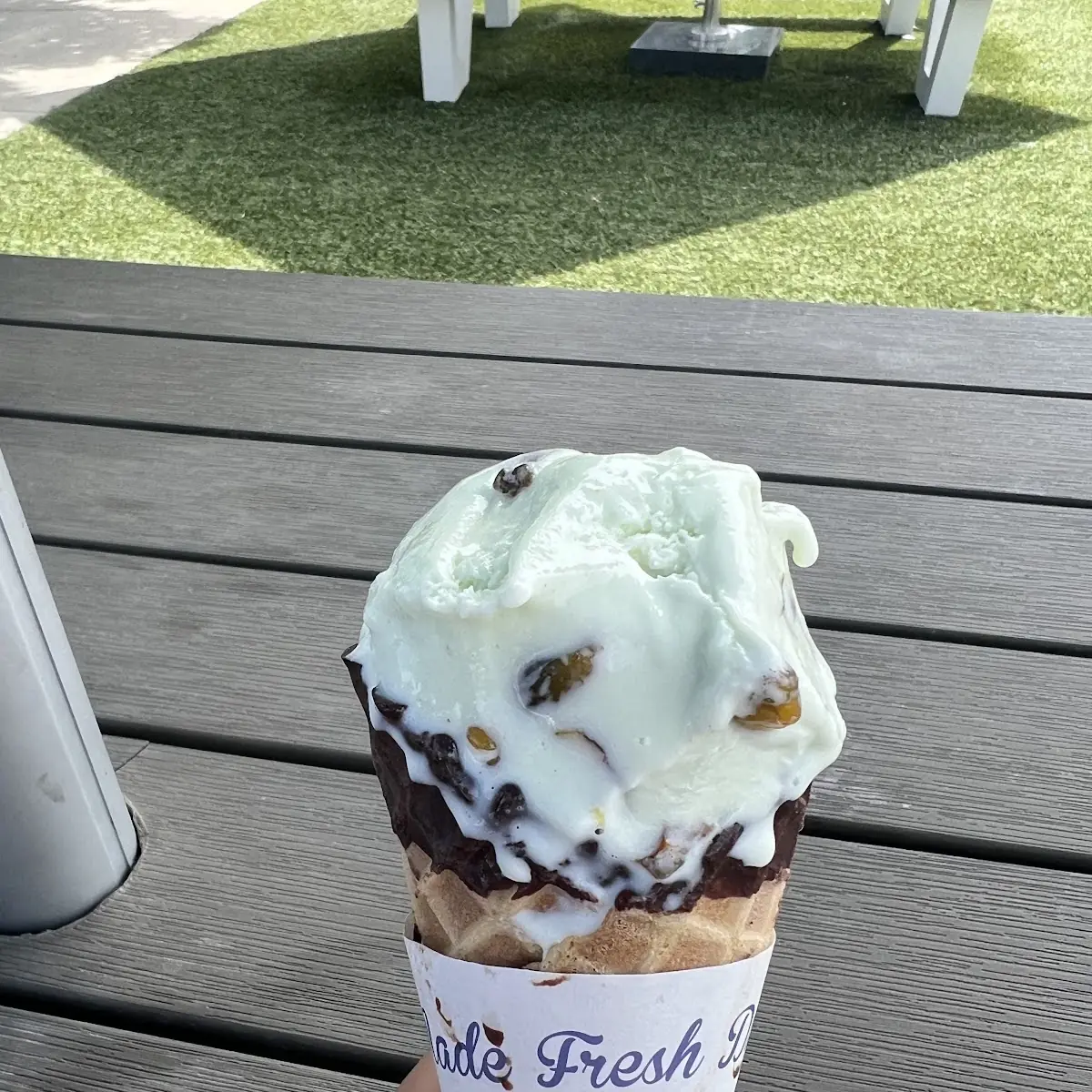 Chocolate Chip