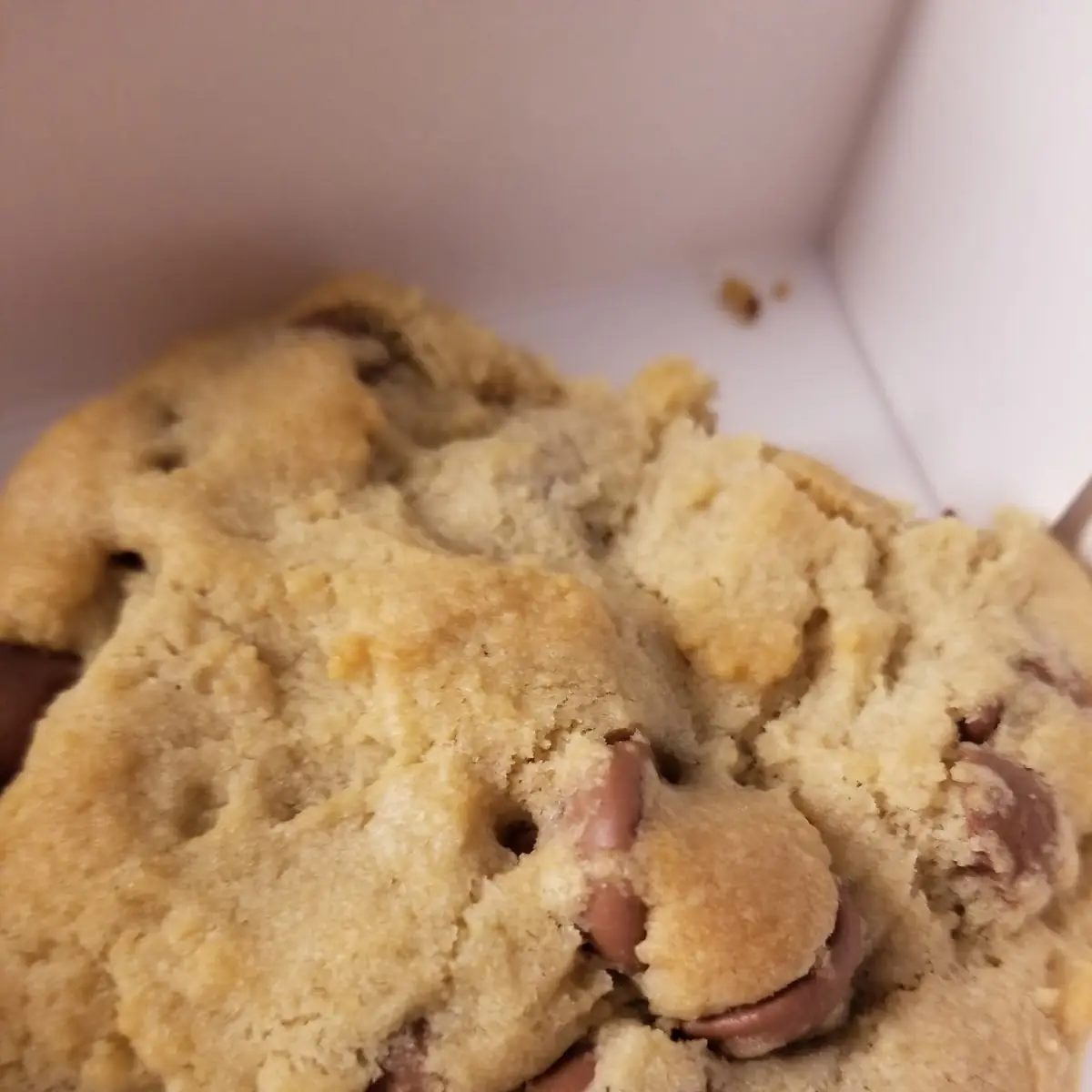 Chocolate Chip Cookie