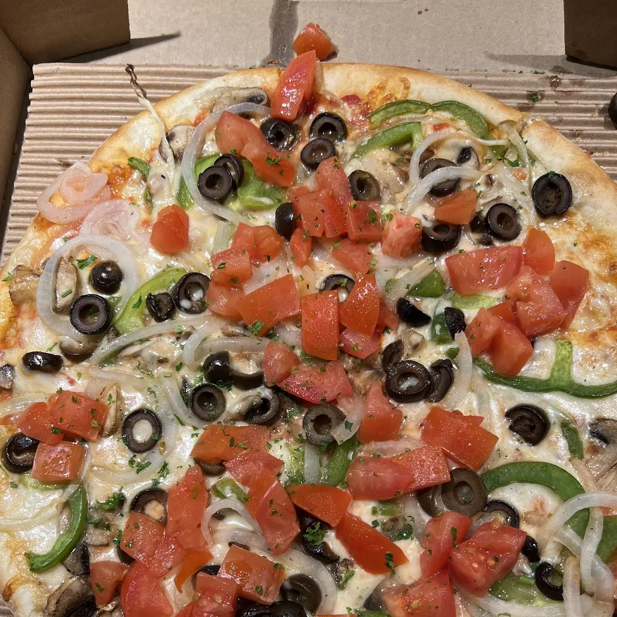 Vegetarian Pizza