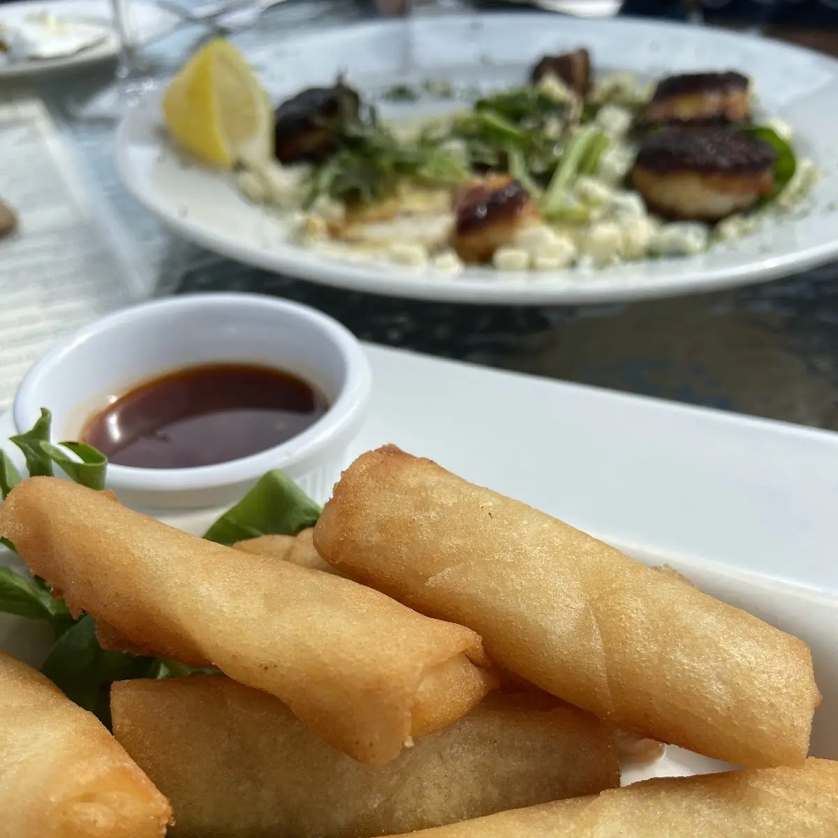 Vegetable Spring Rolls