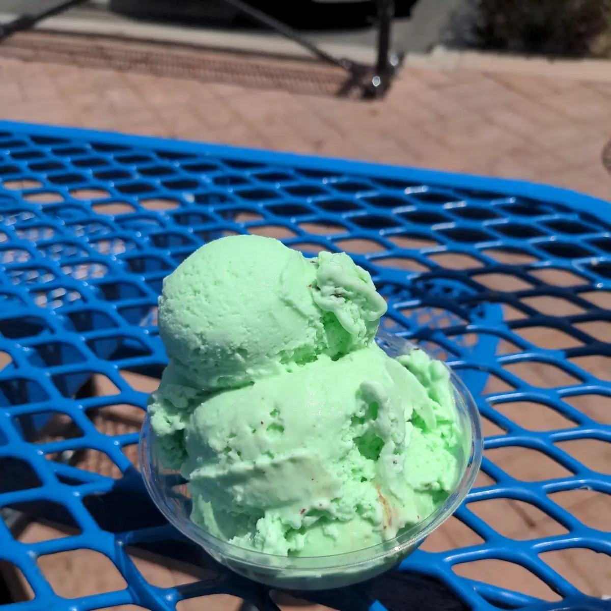 Mint Chocolate Chip