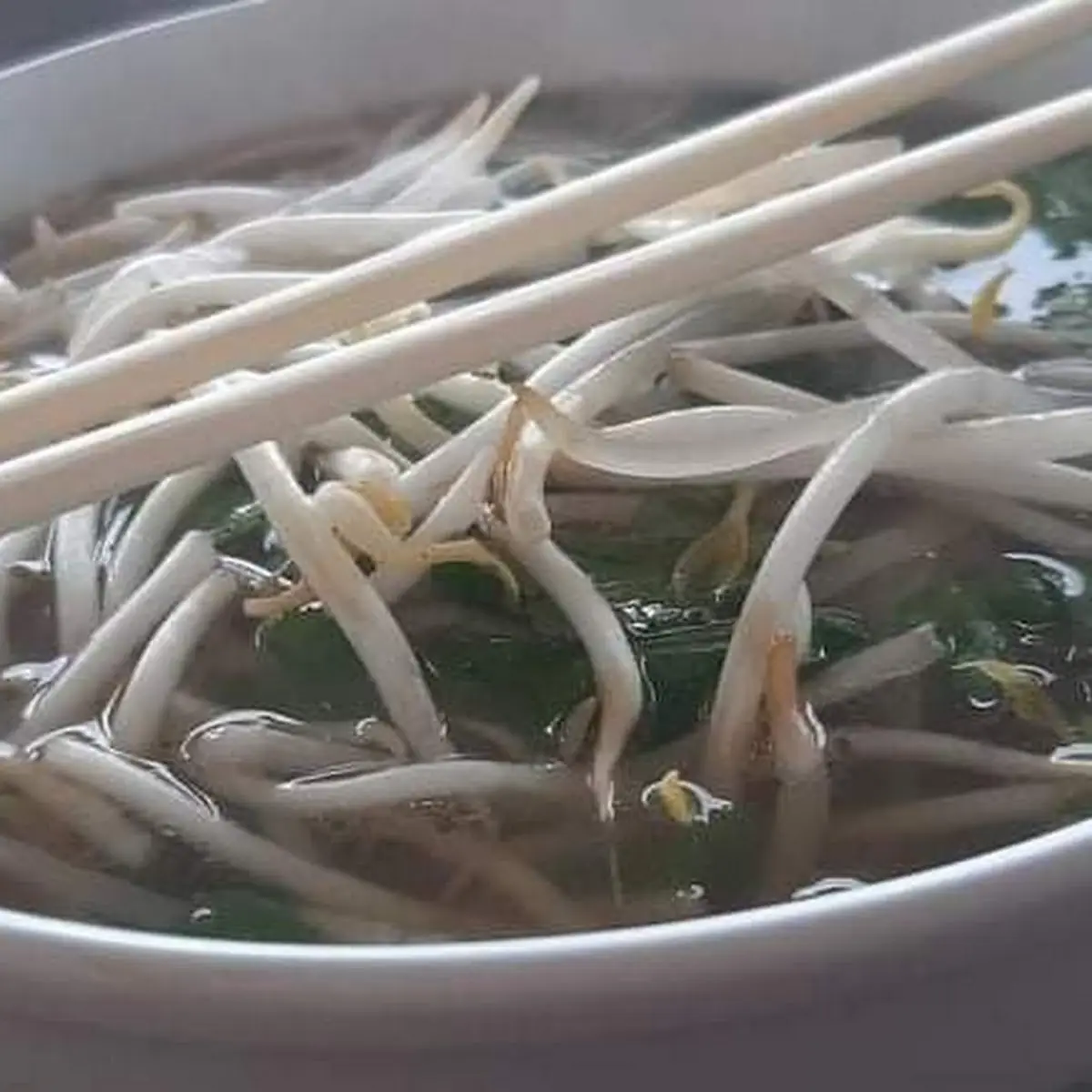 Pho Thai Nam