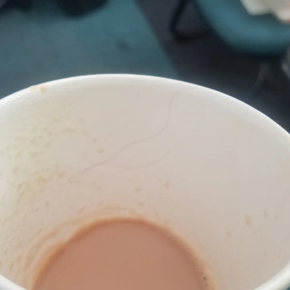 Masala Chai