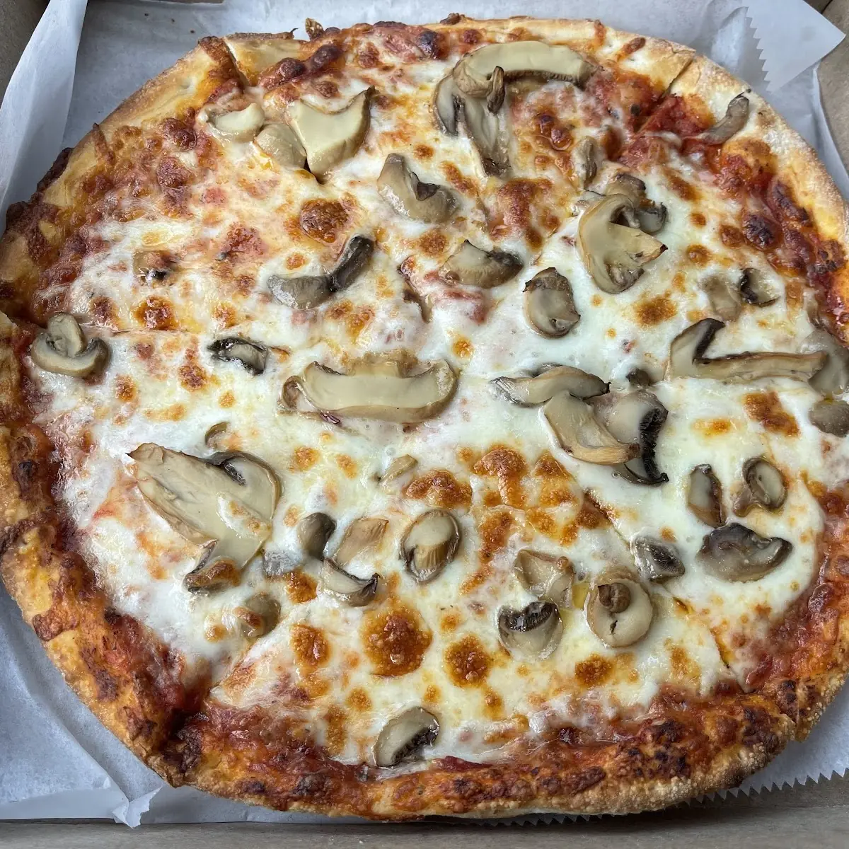 Mushroom Pizza