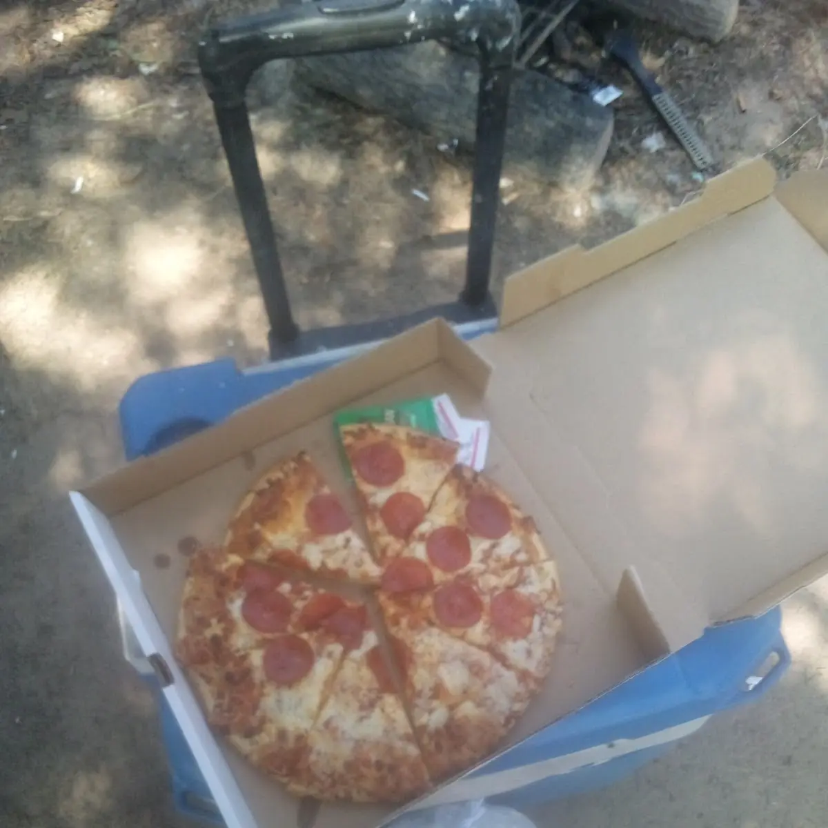 Large Thin Pepparoni Pizza