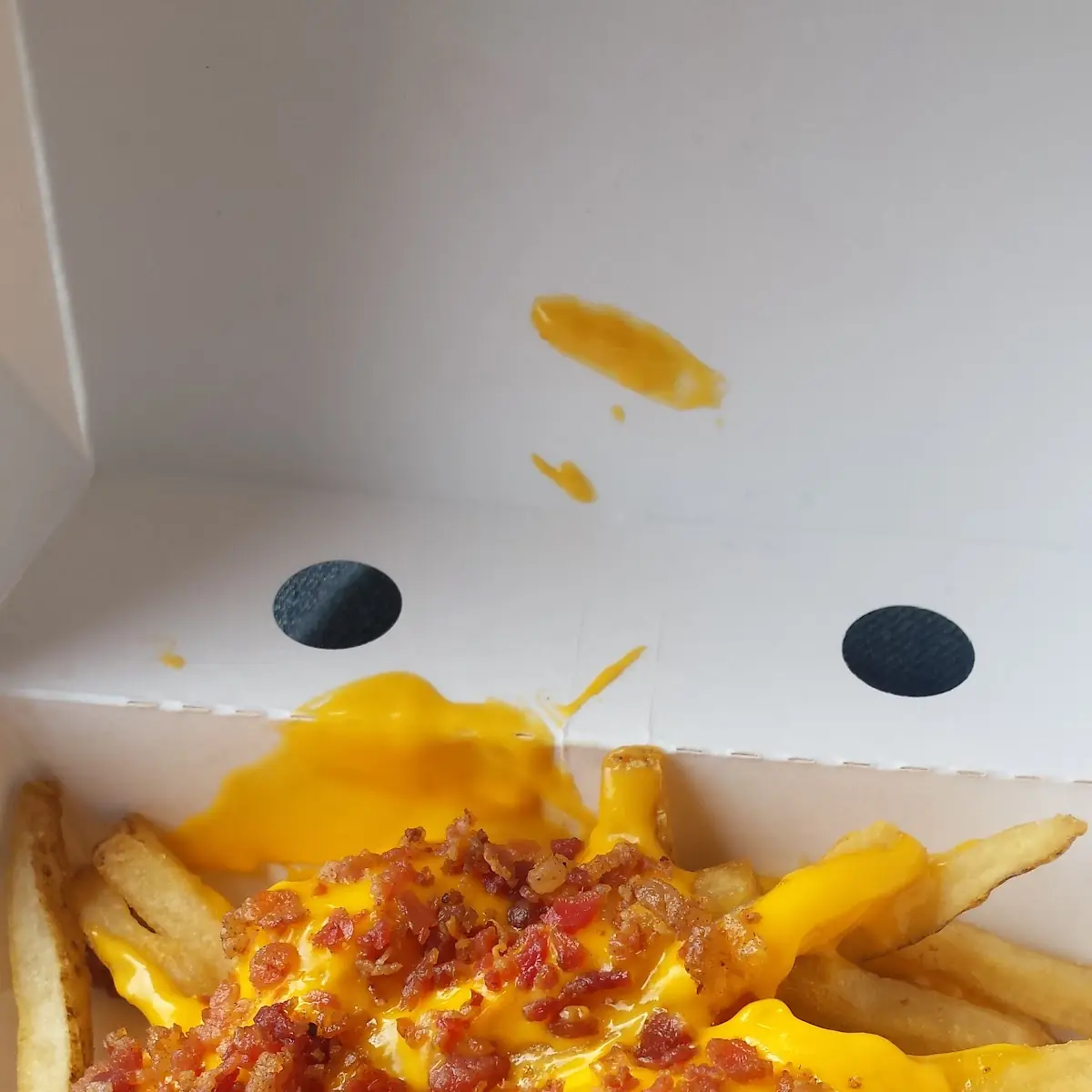 Bacon Cheese Fries