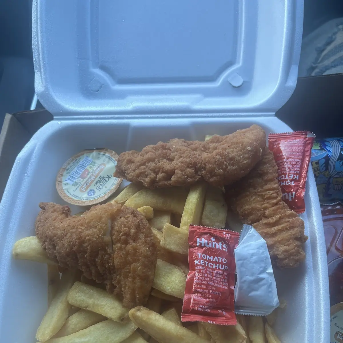 Kids Chicken Tenders