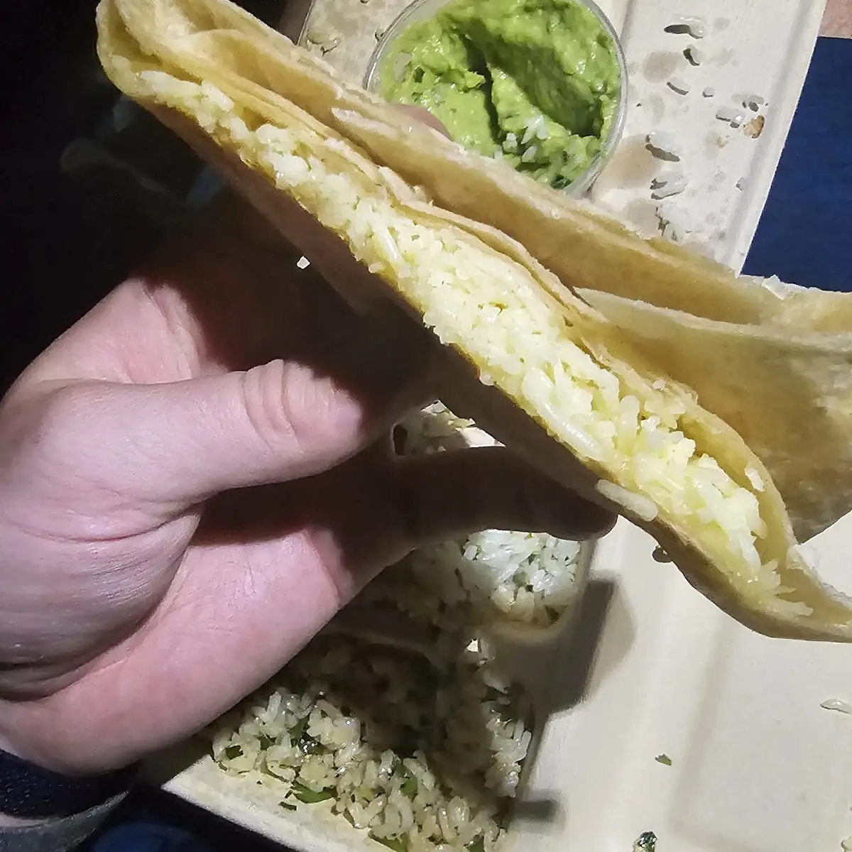 Cheese Quesadilla