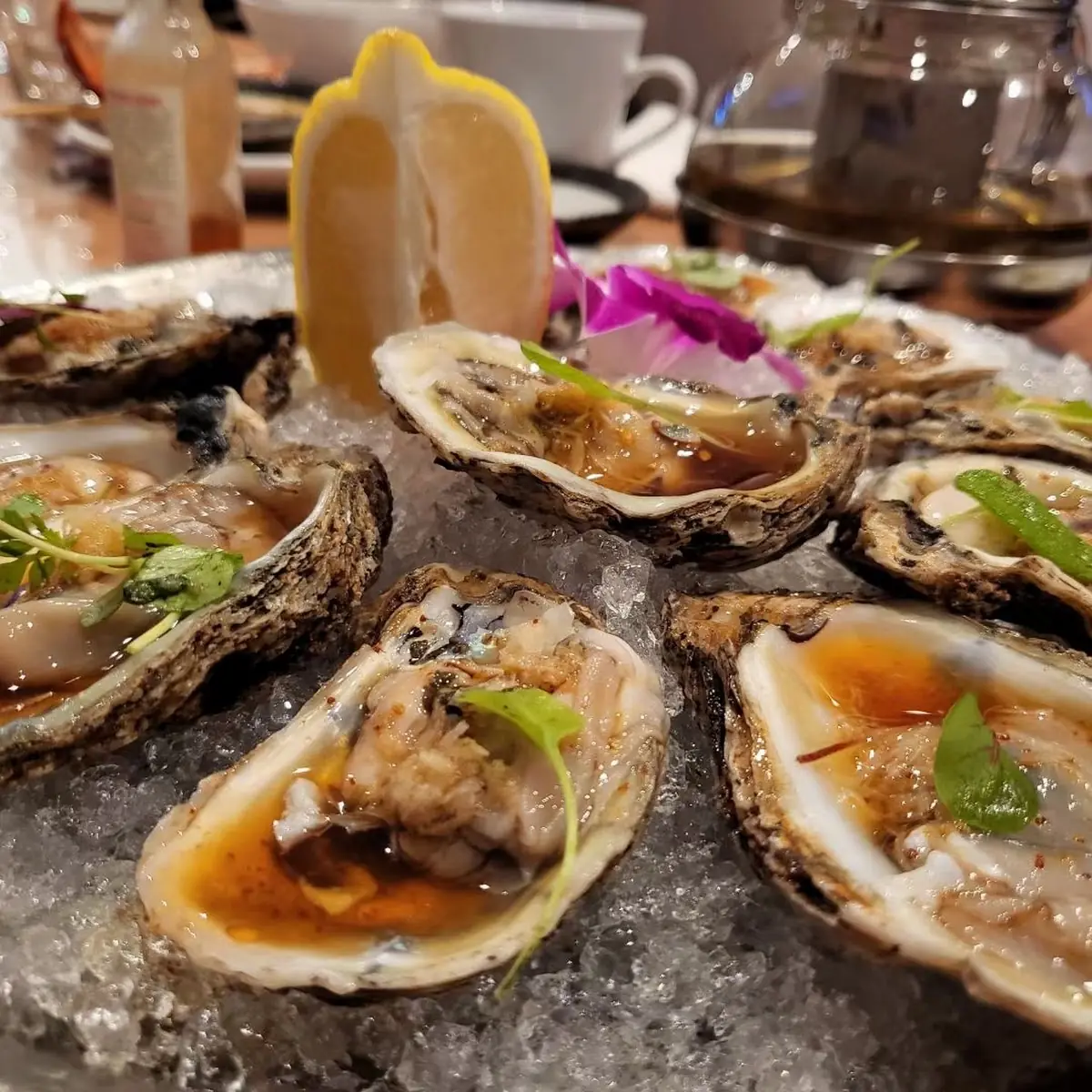 Fresh Oysters on Ice with Lemon