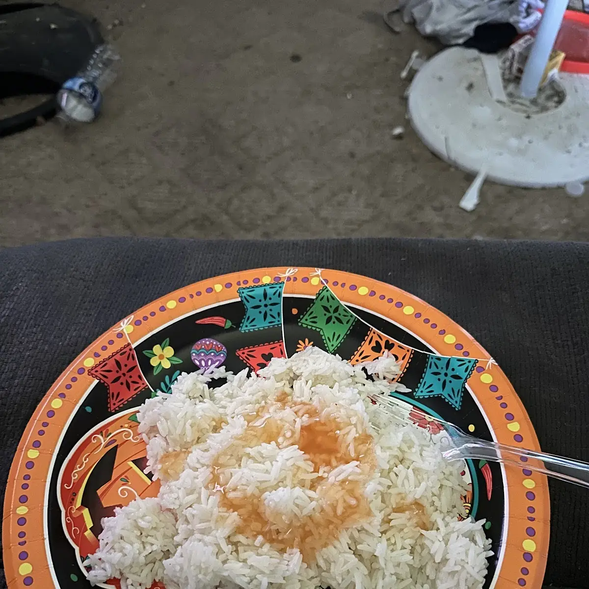 White Rice with Duck Sauce