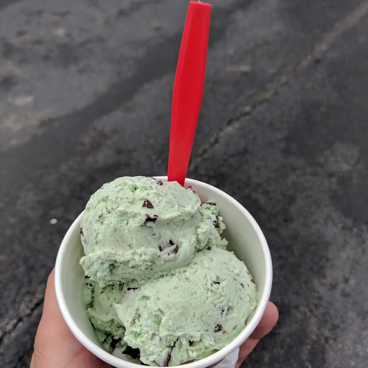 Mint Chocolate Chip