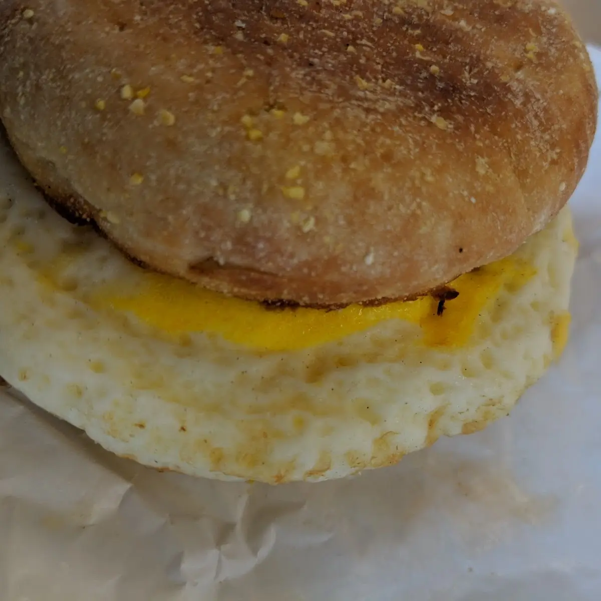 Turkey Sausage Sandwich