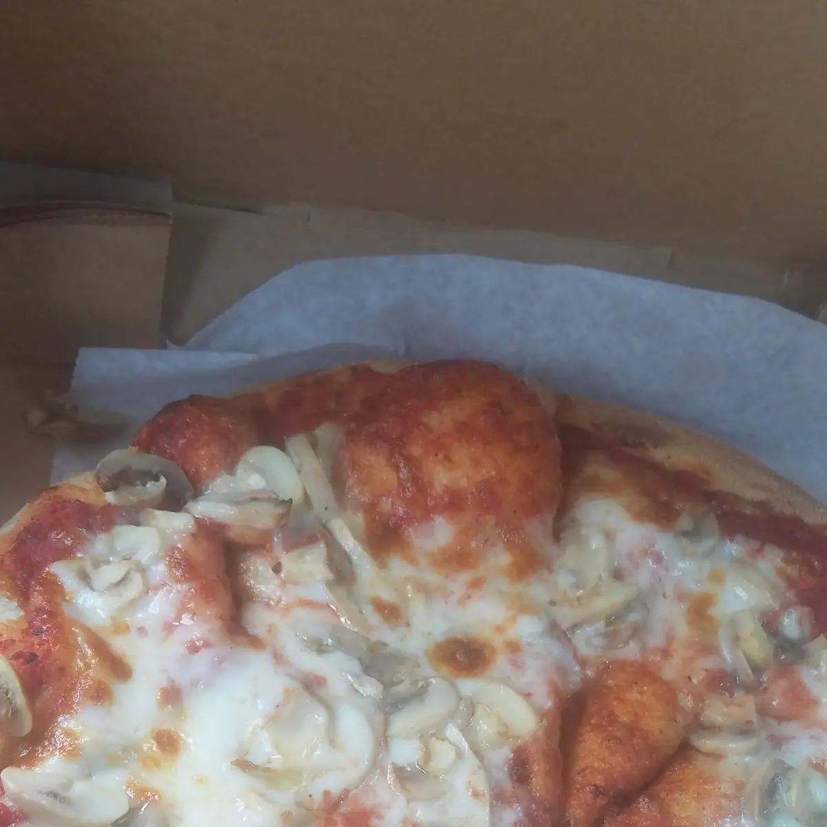 Mushroom Pizza