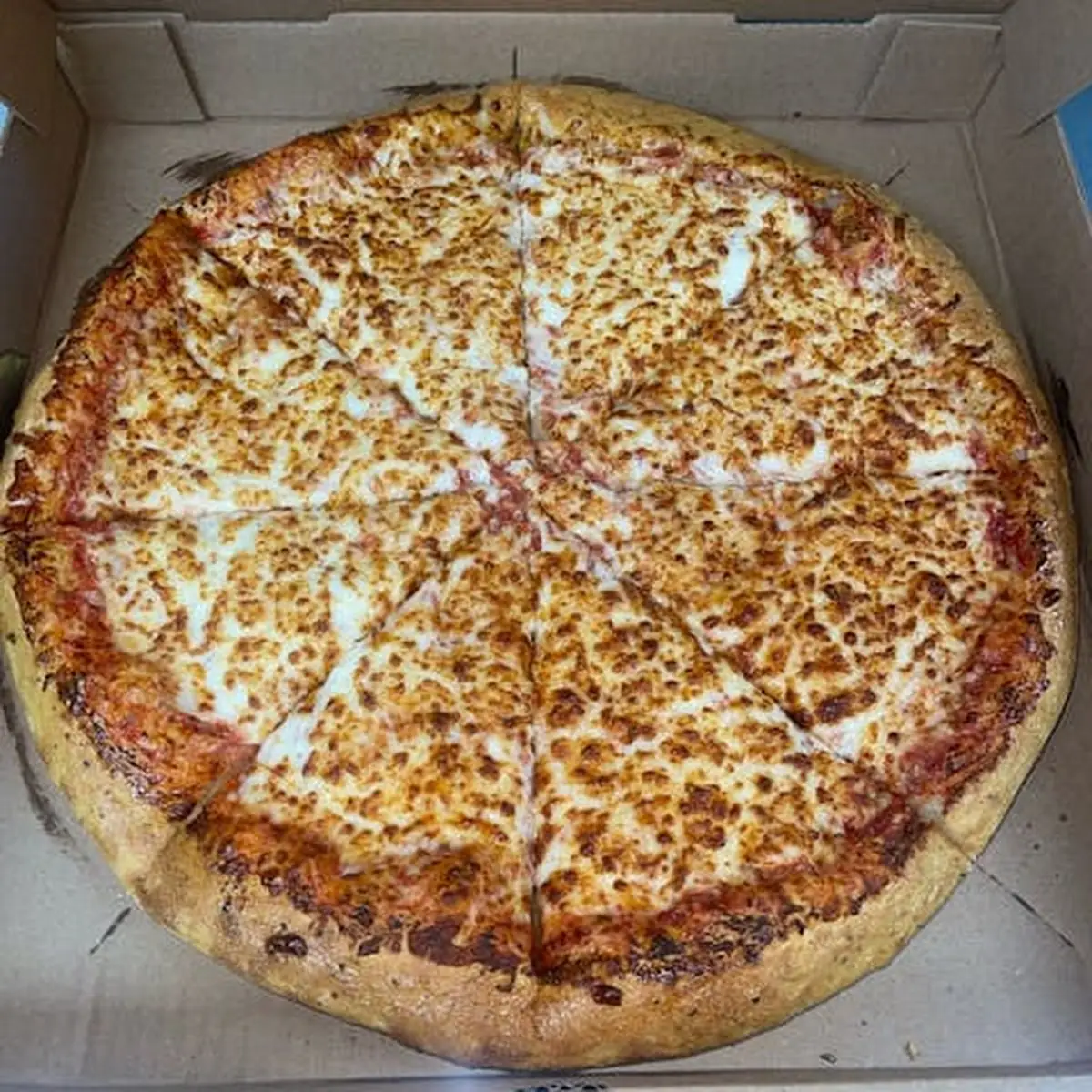 Plain Cheese Pizza