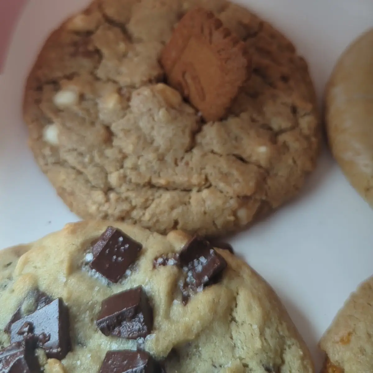 Chocolate Chip Cookie