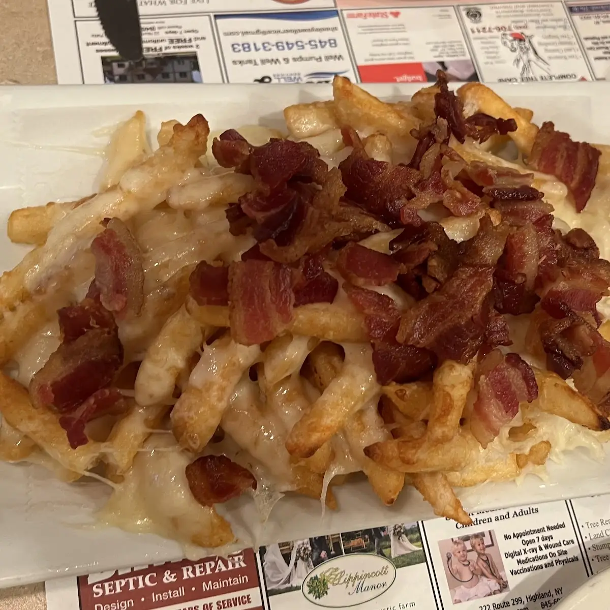 Bacon & Cheese Fries