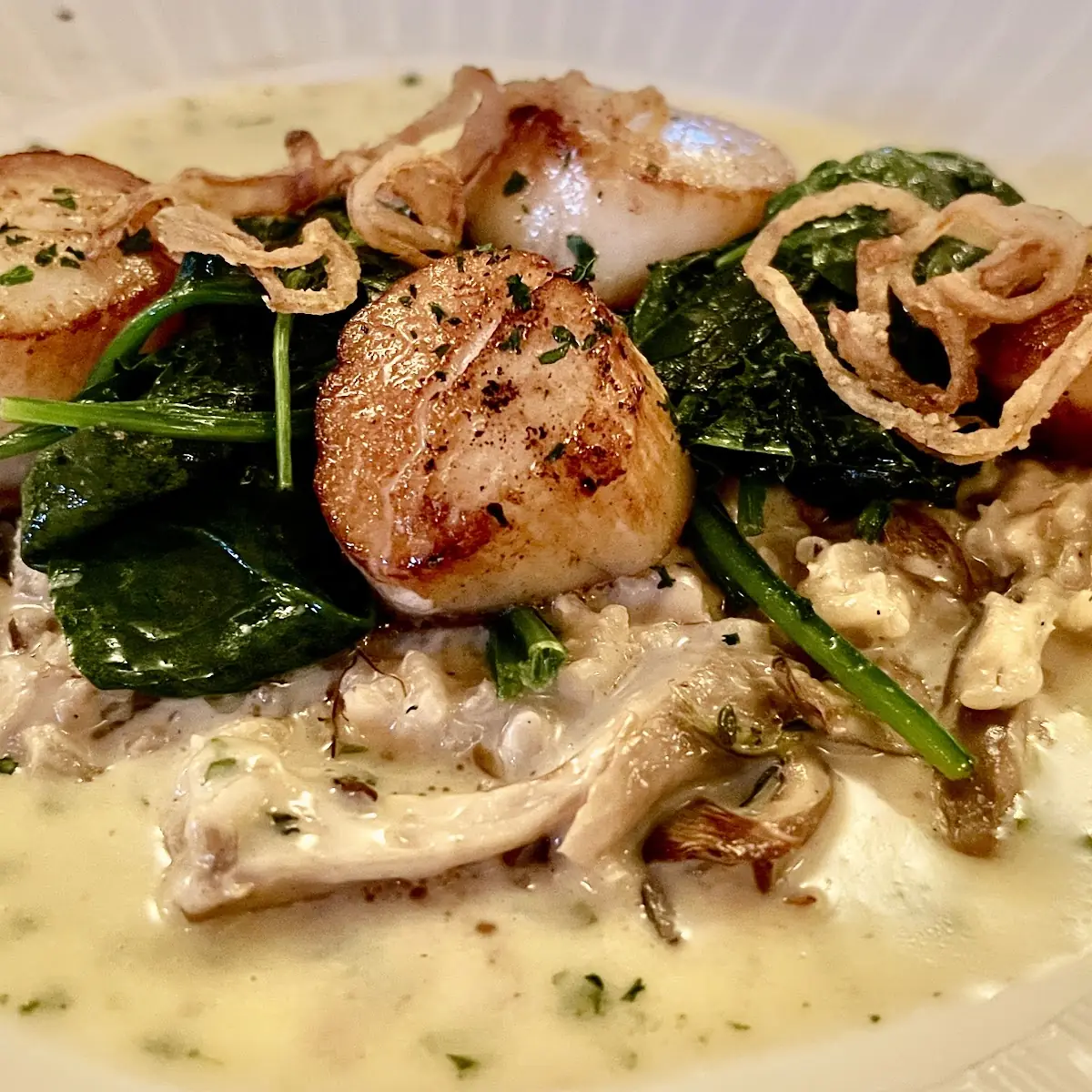 Seared Sea Scallops