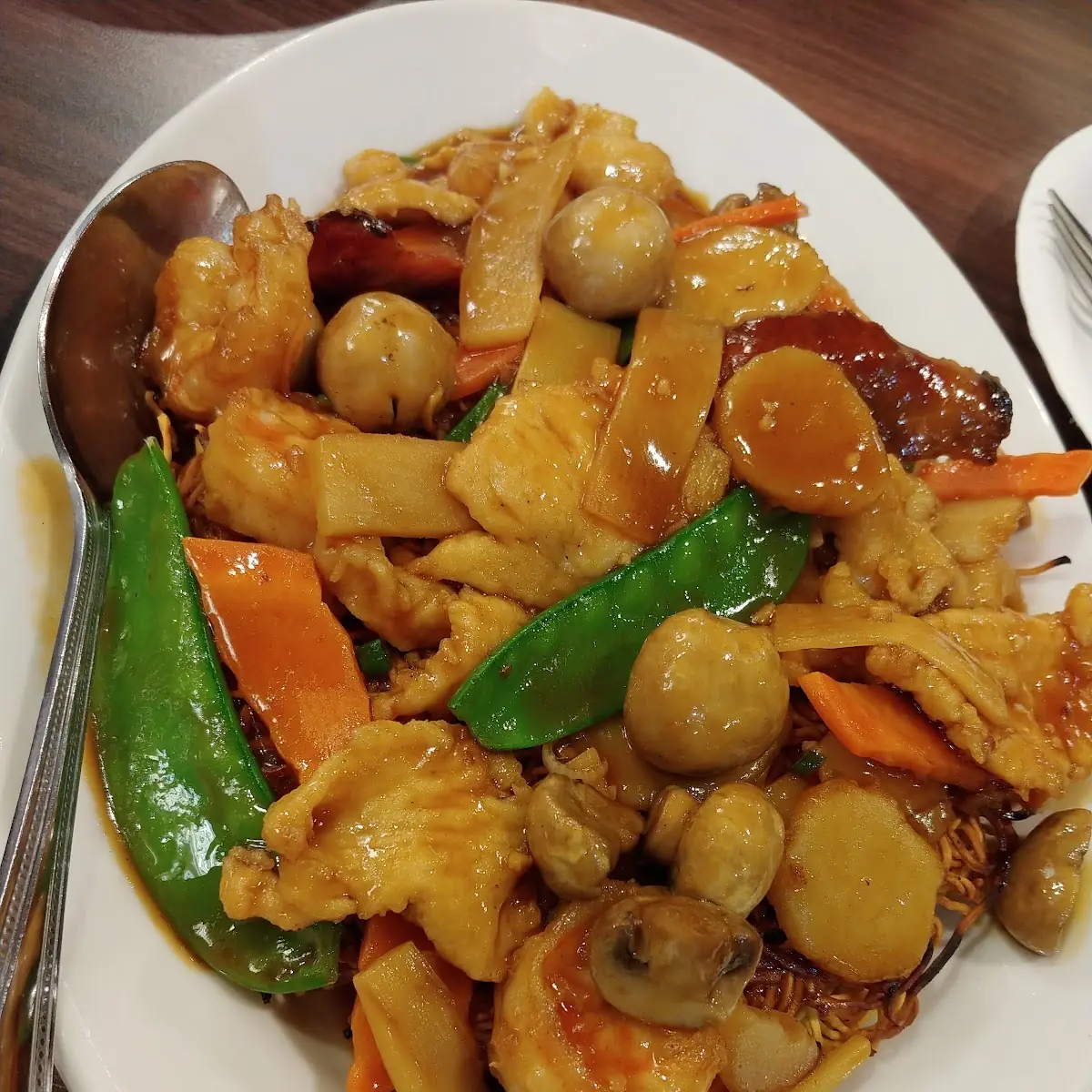 48 Sizzling Pan Fried Noodles
