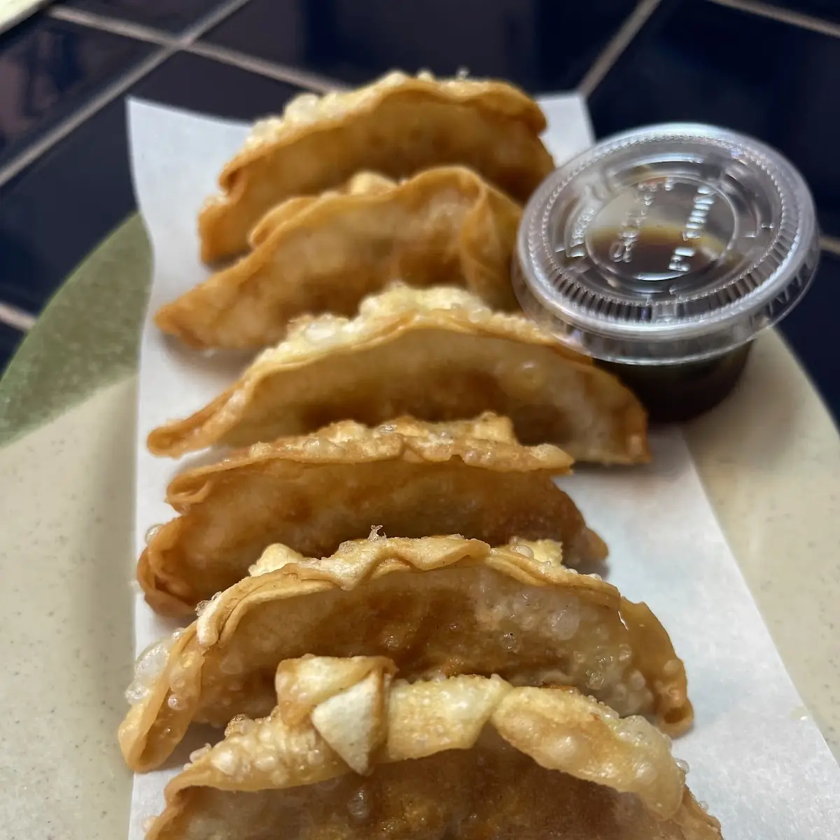 Gyoza Dumplings