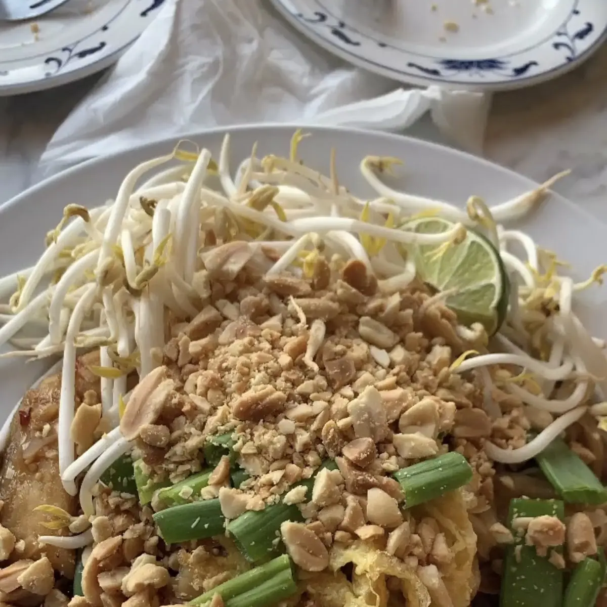 Shri an-Fried Noodles