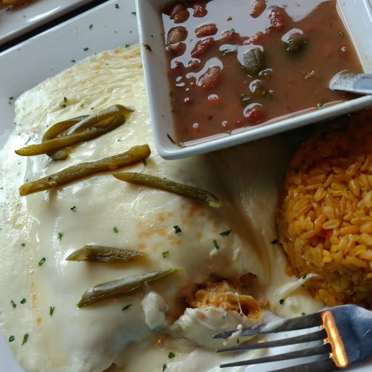 Arturo’S Sour Cream Chicken Enchiladas