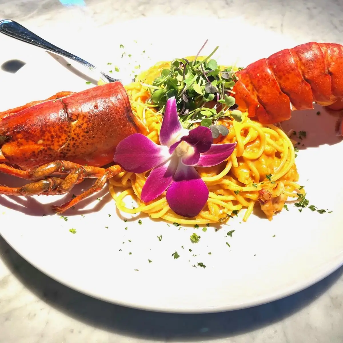 Lobster Mac and Cheese