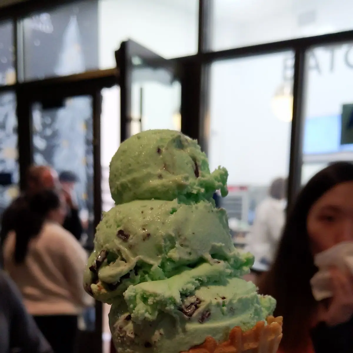 Mint Chocolate Chip