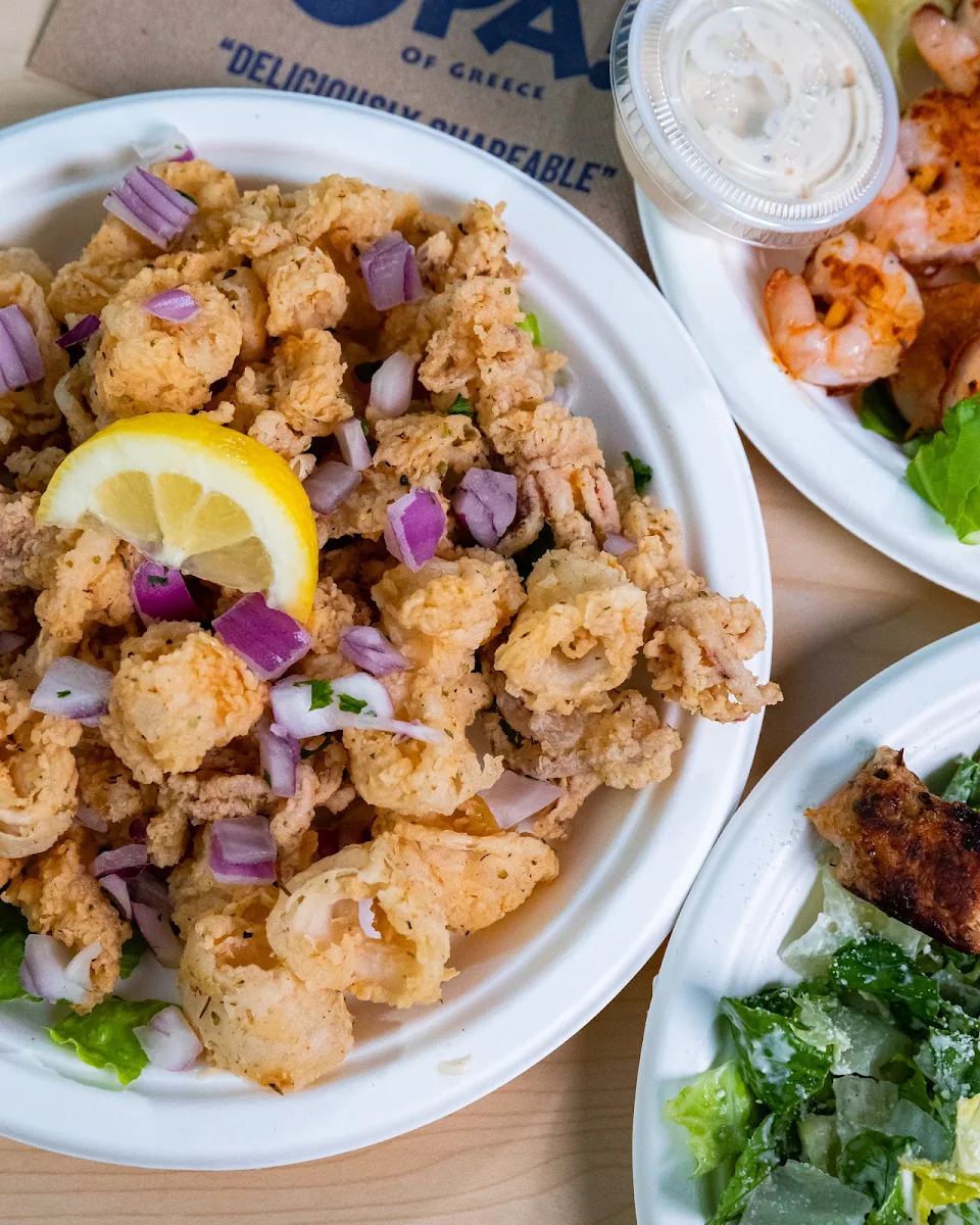 Calamari and Salad Combo, OPA! of Greece 8th Street - Saskatoon
