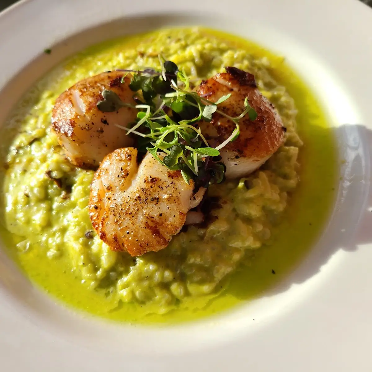 X Scallops with Garlic Sauce