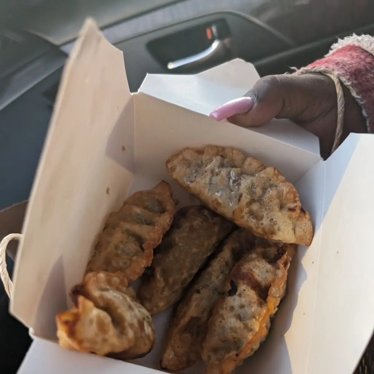 Pot Stickers