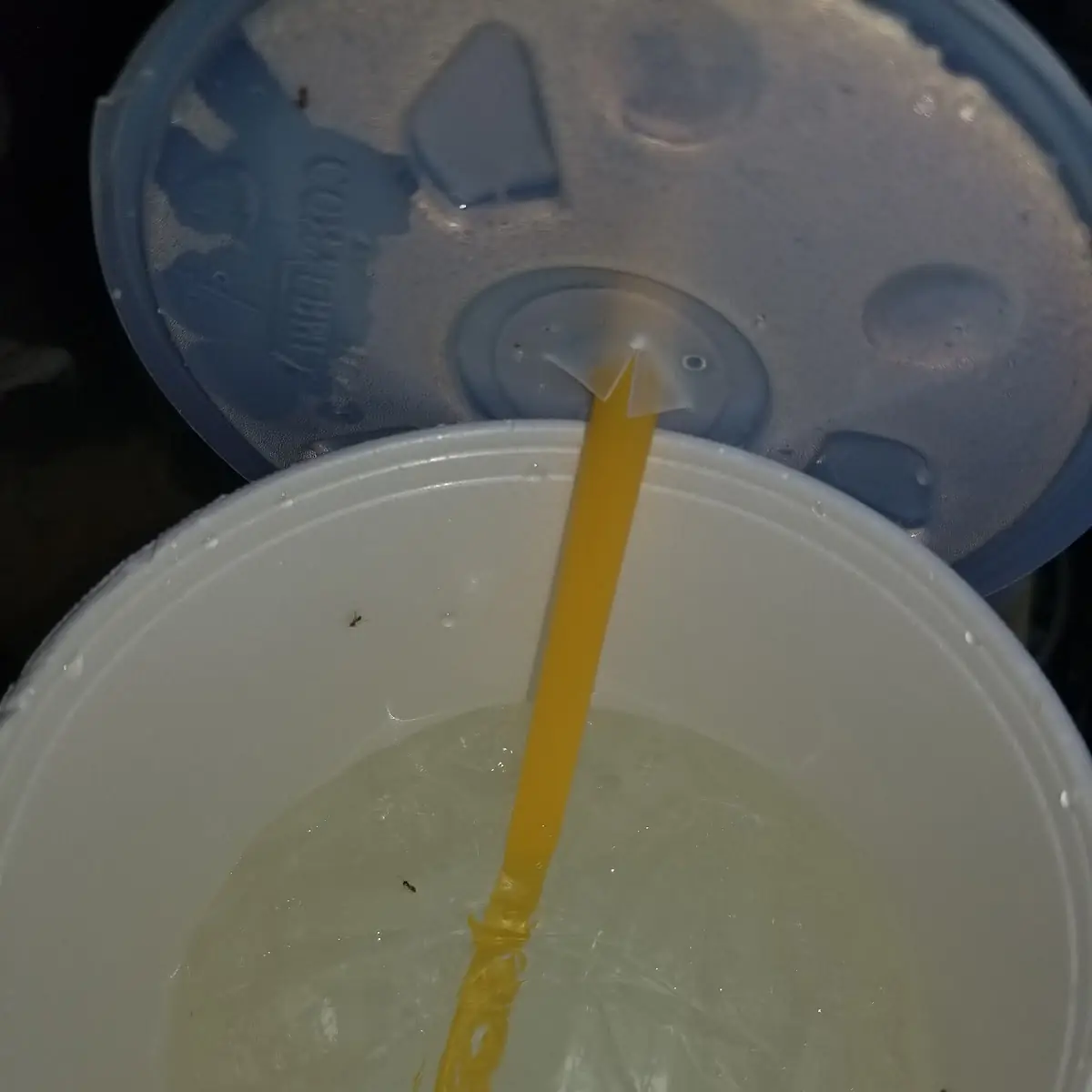 Ordered Uber Foods Delivery and Instead of Getting Mountain Dew I Got Sierra Mist with Ants in It