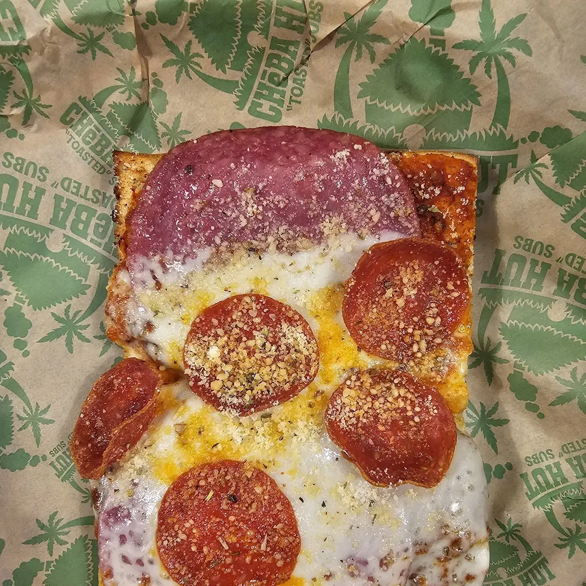Dank Pizza Sub