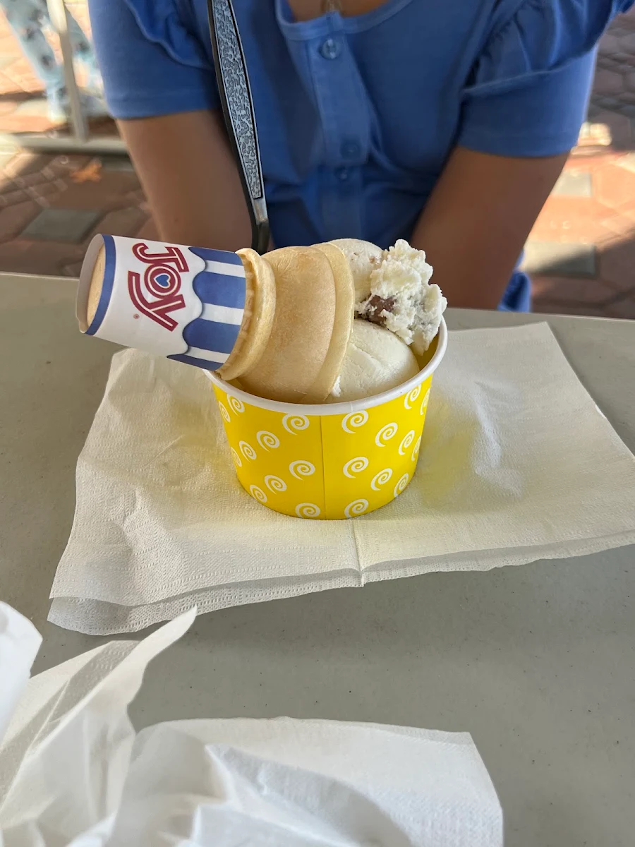 Small Chocolate Chip Cookie Dough Ice Cream