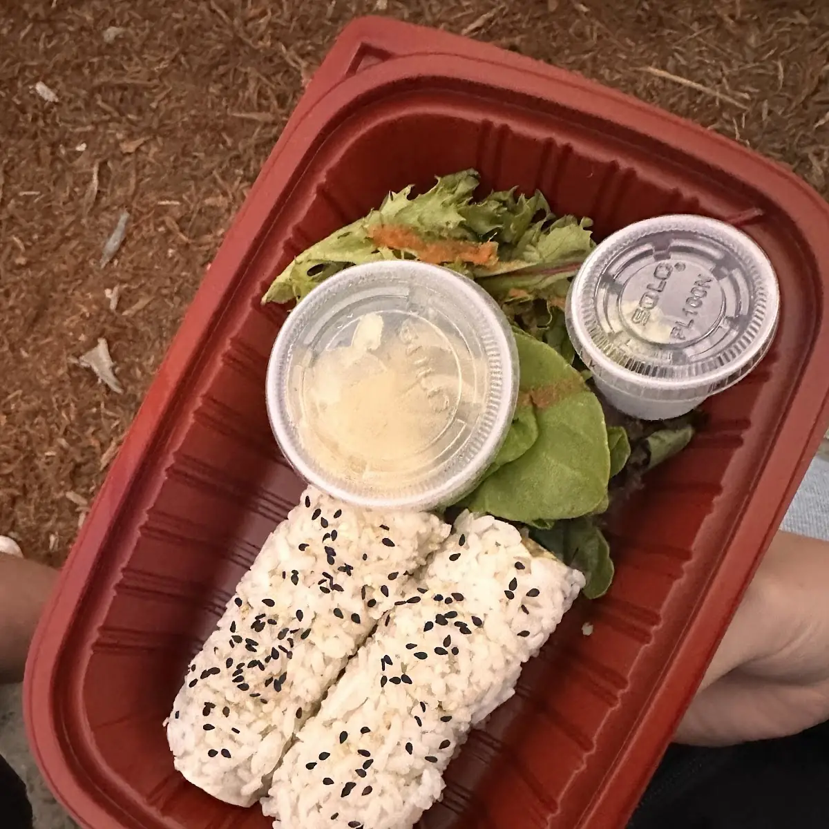Avocado Maki