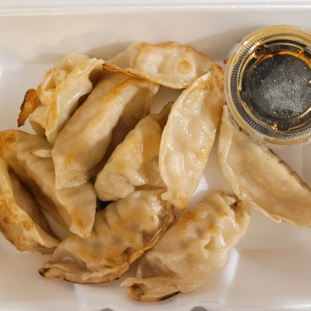Pan Fried or Steamed Dumpling