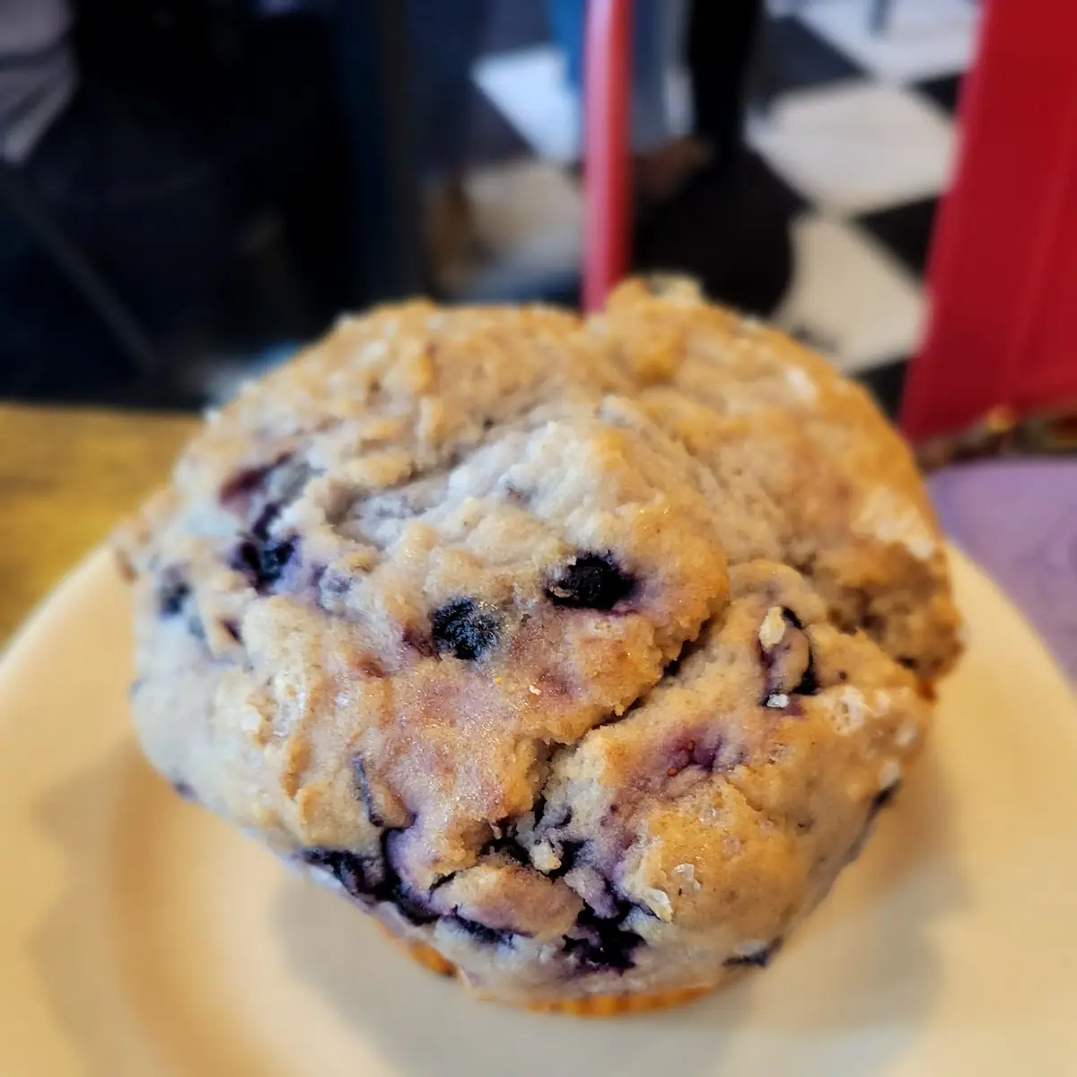 Blueberry Muffin
