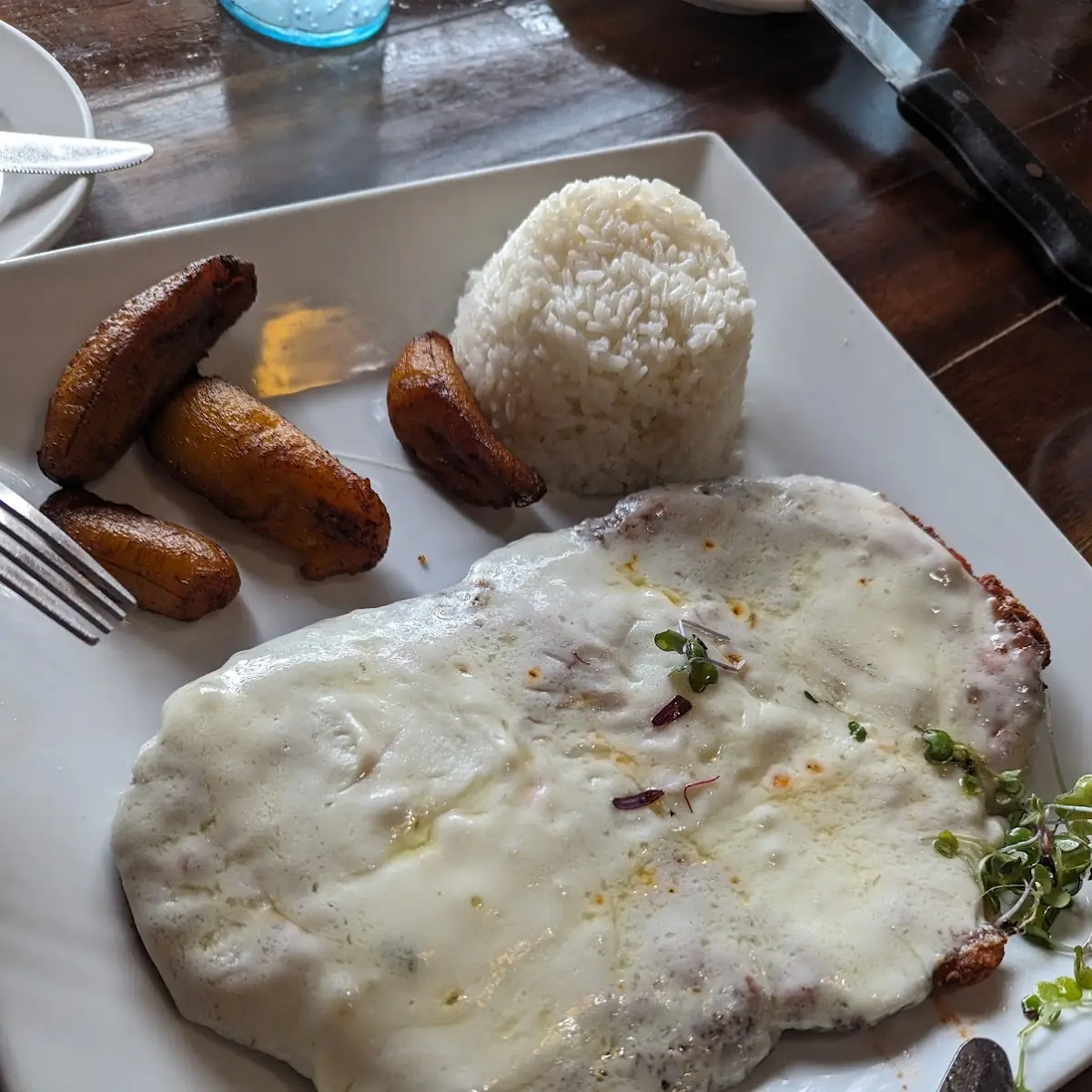 Milanesa De Pollo Empanizado