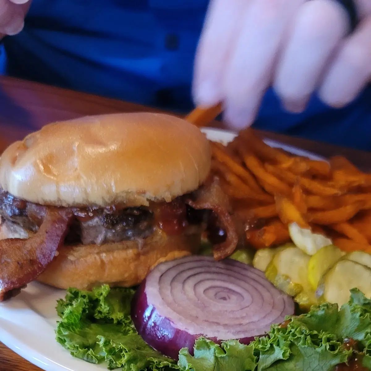 Bison Burger