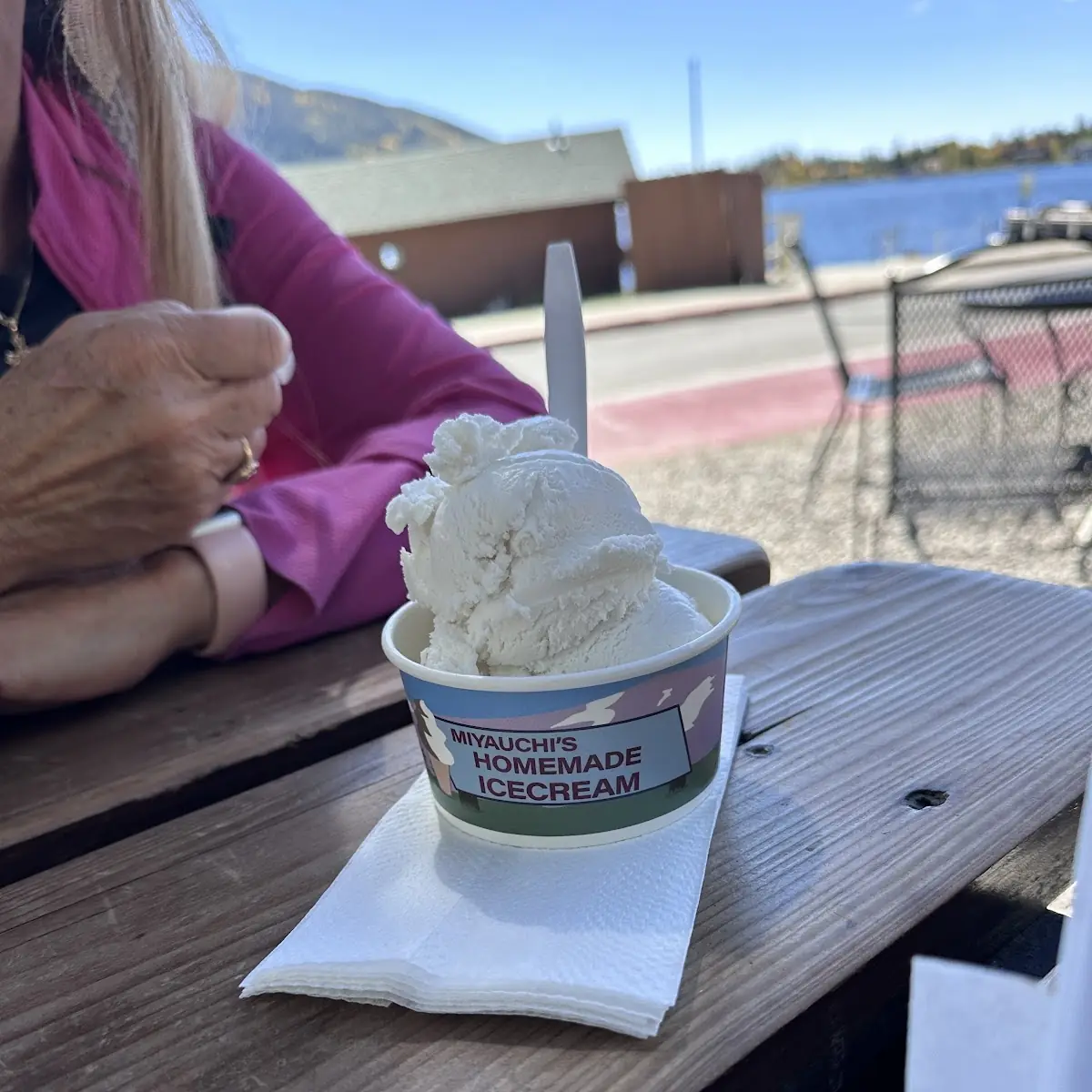 Amaretto Dairy Free Ice Cream Cup