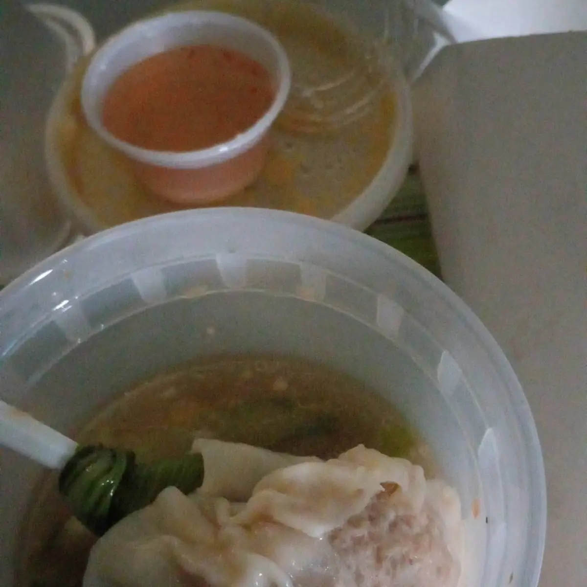 Wonton Soup