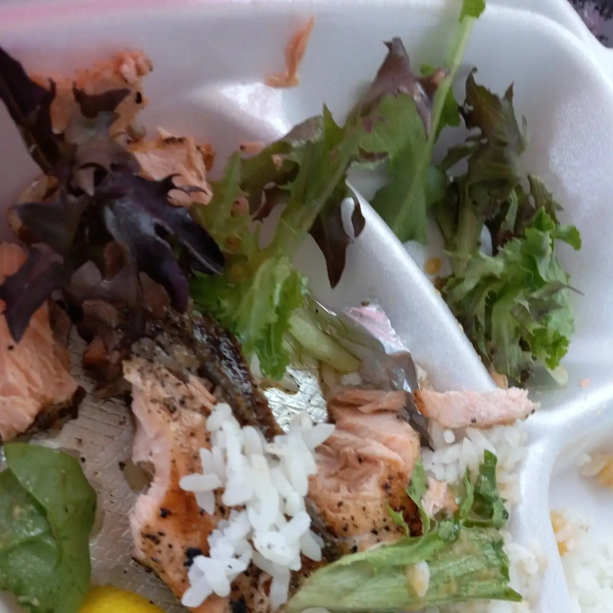 Salmon Teriyaki Bento
