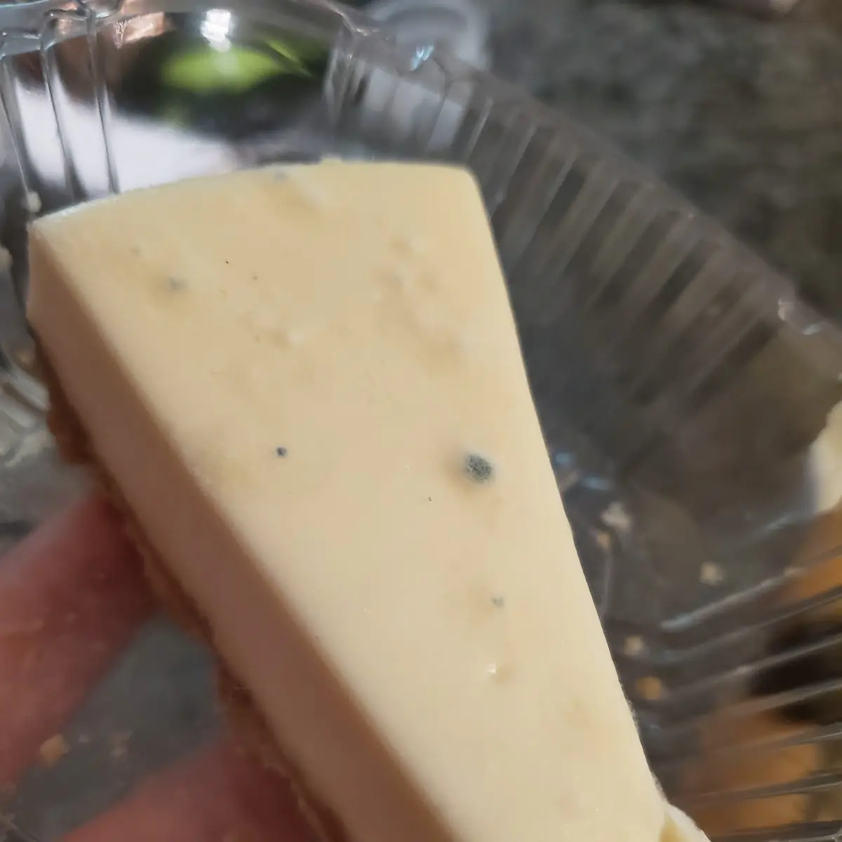 Cheese Cake
