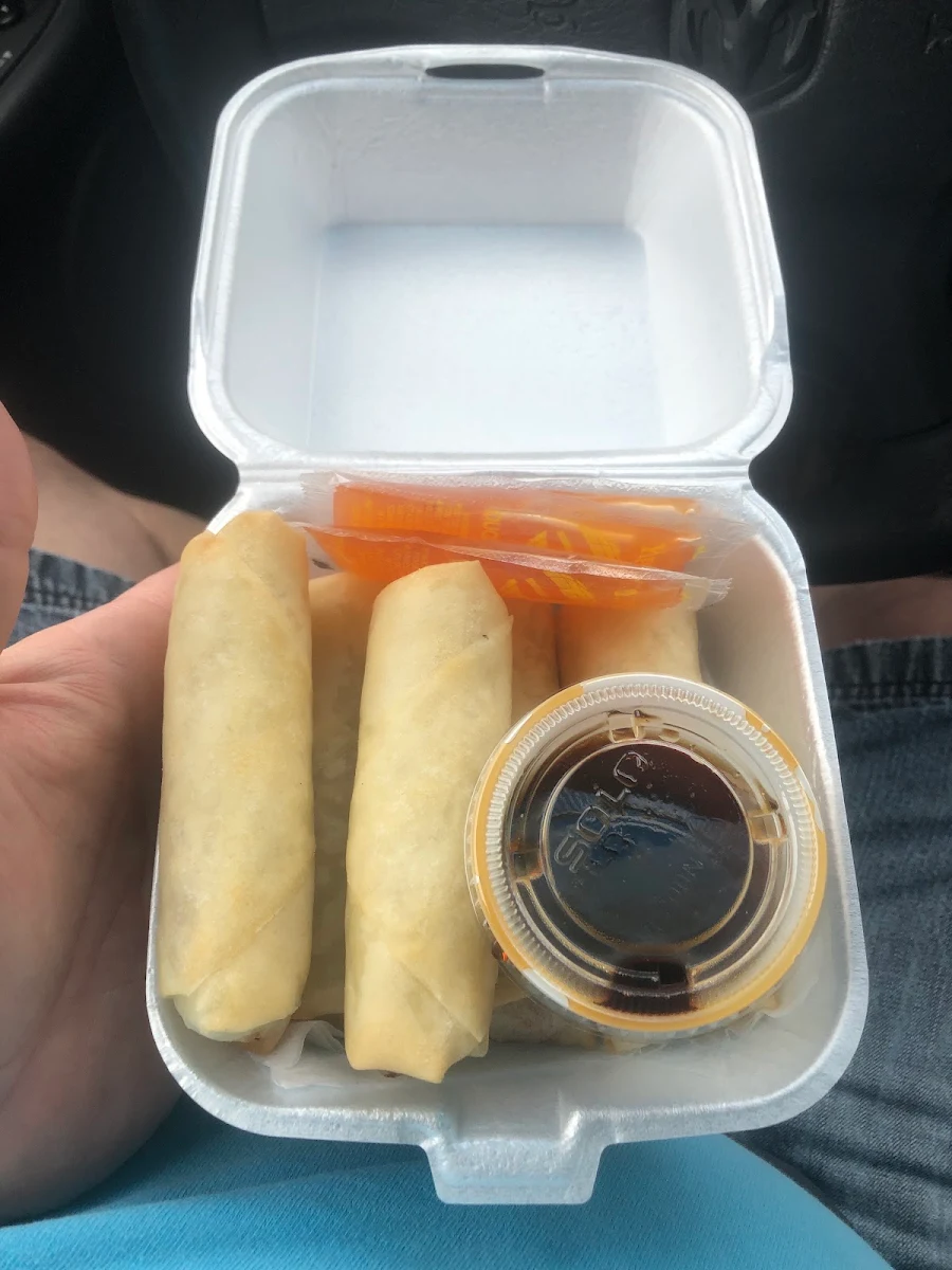 Mango Sticky Rice Spring Roll