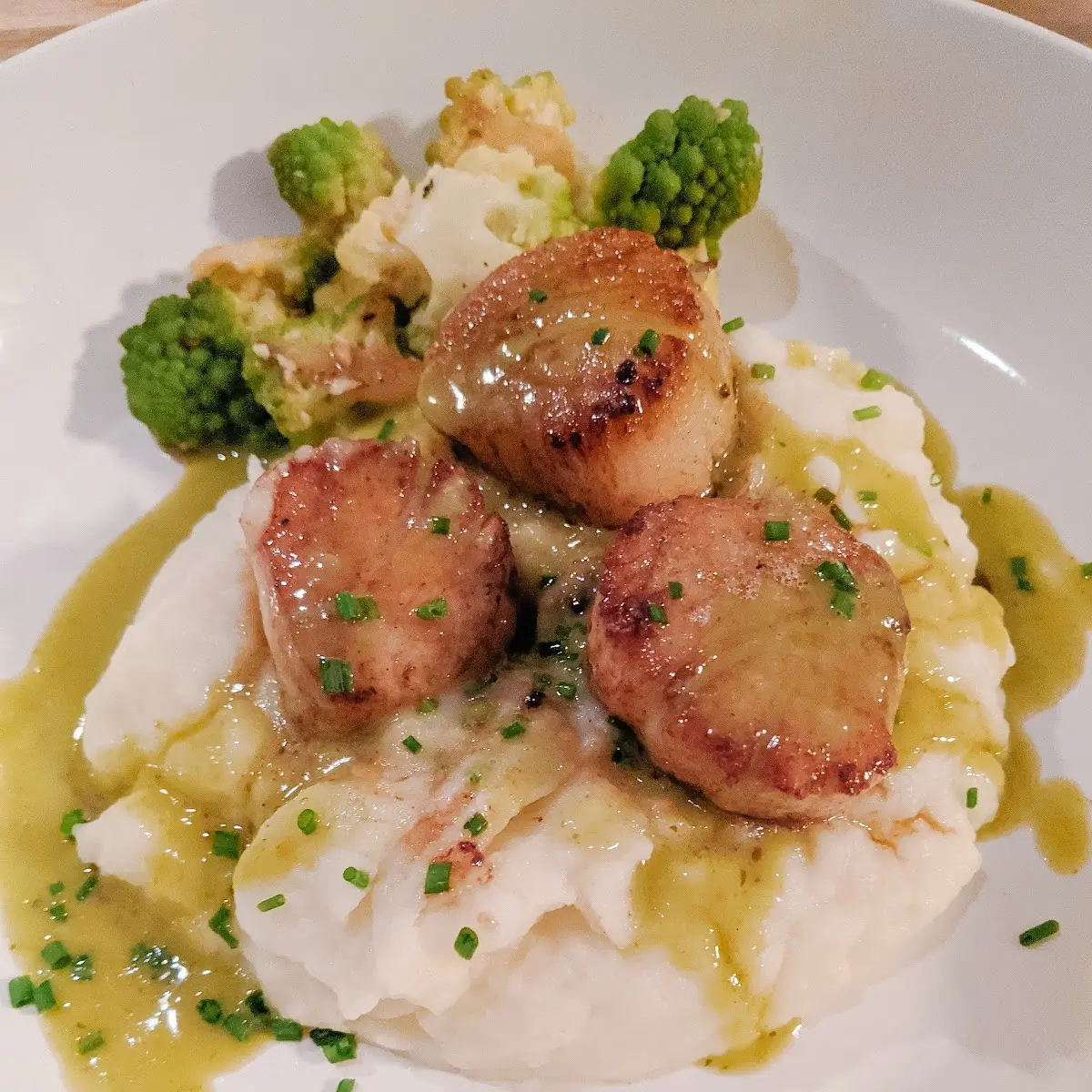 Sea Scallops